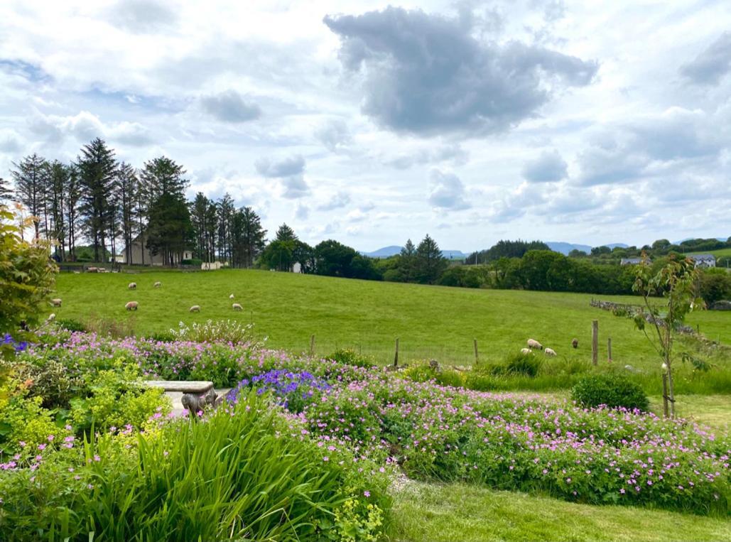 Brook Lodge Glenties Kültér fotó
